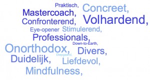 wordcloudMarieke